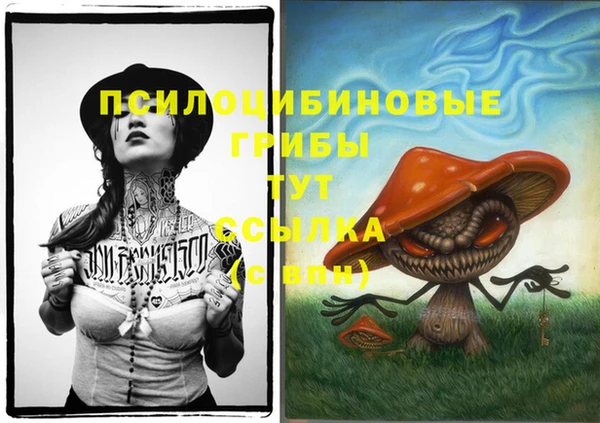 гашишное масло Новодвинск