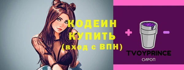 шишки Нязепетровск