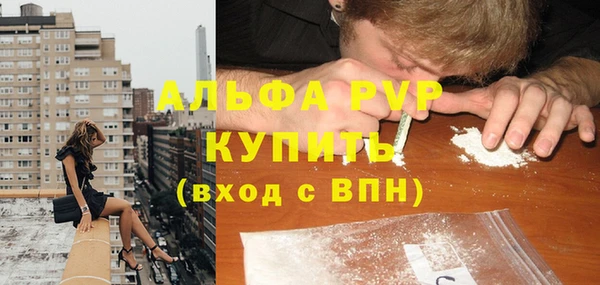 шишки Нязепетровск