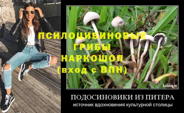 шишки Нязепетровск