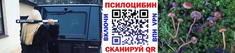 Псилоцибиновые грибы прущие грибы  Пудож 